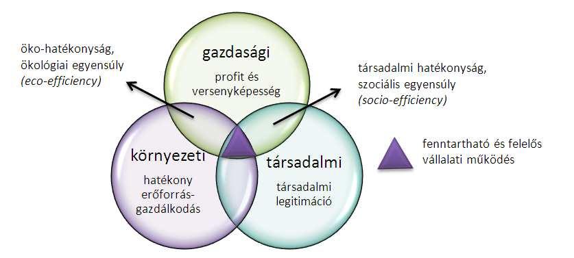 Perrini és Tencati (2006) alapján a fenntarthatóság egy olyan paradigma, mely a gazdasági siker, a társadalmi kohézió és a környezetvédelem összekapcsolásával képes a vállalatok hosszú távú