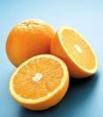 grapefruit (Citrus x paradisi) =