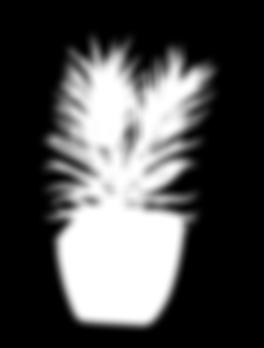 (22155289, 22155304, stb.) 2.