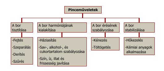 A bor kezelése, gondozása Az erjesztés befejezésekor keletkező újbor még