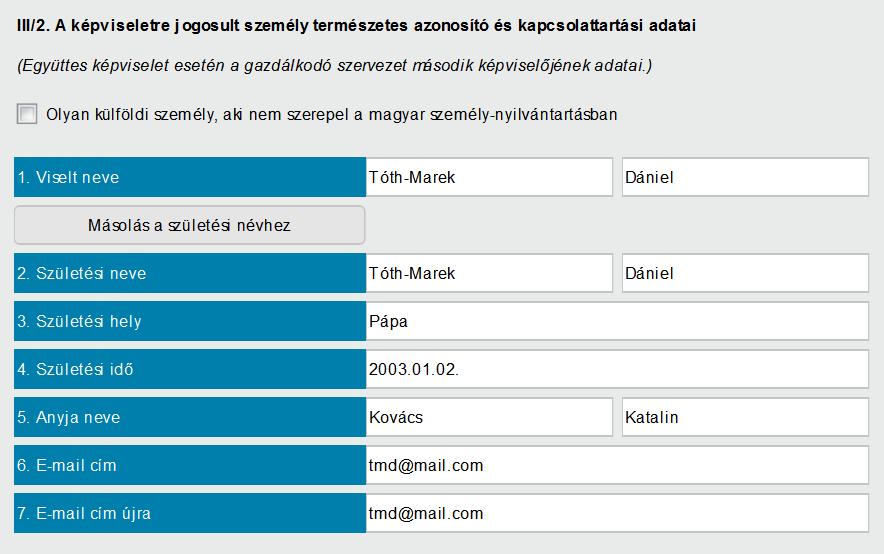 pont, ahol a második cégképviselő természetes azonosító adatait és kapcsolattartási e-mail címét kell megadni abban az esetben, ha a regisztráló képviselő a képviselő társa helyett is