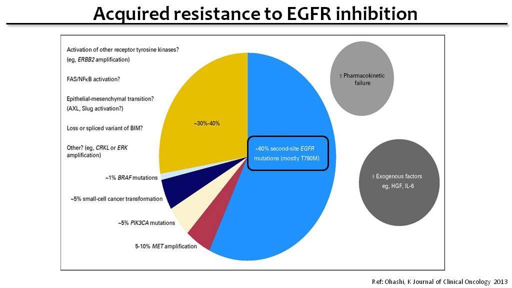A megelőző EGFRTKI kezelés során kialakult rezisztencia
