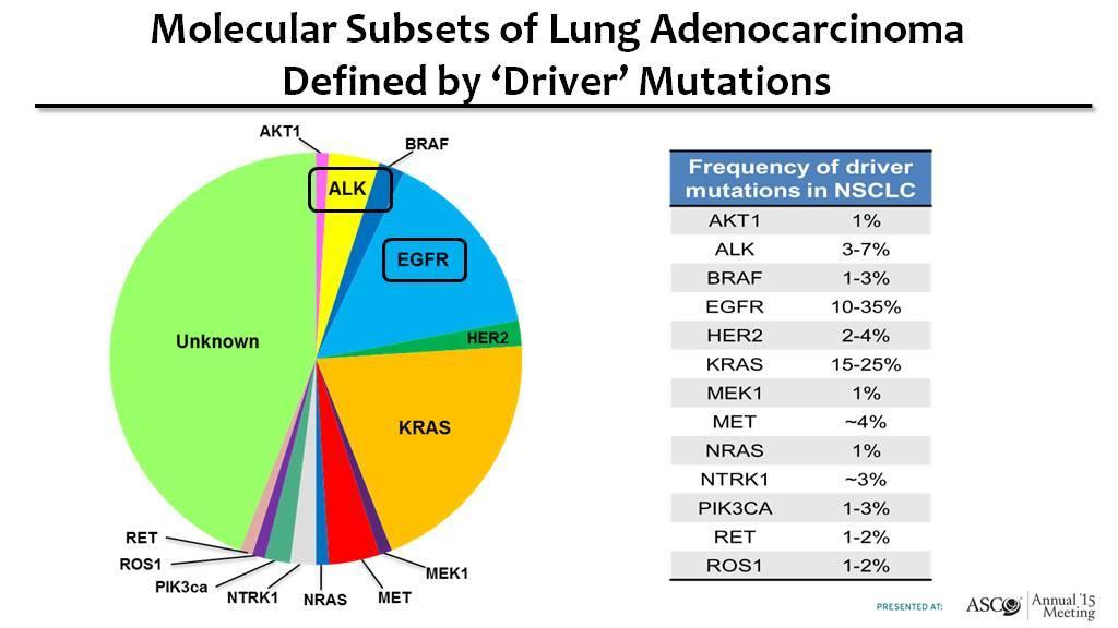 Adenocarcinoma heterogenitása Slide 3