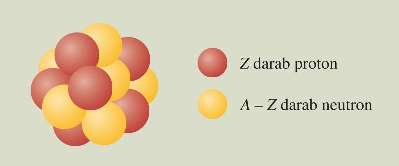 Az atommag összetétele, radioaktivitás Az atommag alkotórészei proton: pozitív töltésű részecske, töltése egyenlő az elektron töltésével, csak nem negatív, hanem pozitív: 1,6 10-19 C tömege az