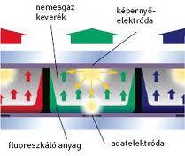 OLED technológia6 Az OLED technológiát a természetből vették, vannak olyan állatok, amik a sötétben világítanak (medúzák,