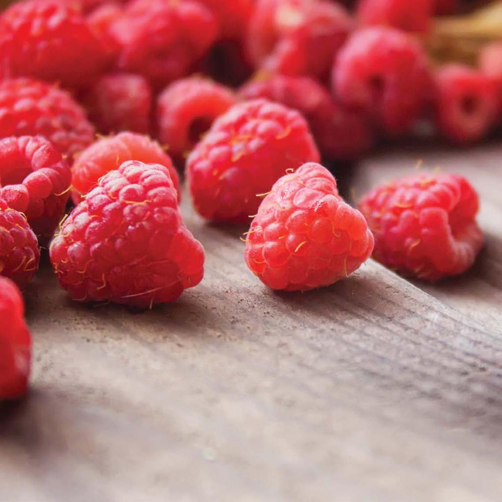 Berry Slim étrend-kiegészítő liofilizált málnával Méregtelenít, segíti a fogyókúrát és vitaminnal tölt fel. Liofilizált málnatartalmának köszönhetően finom az íze, emellett magas a vitamintartalma.