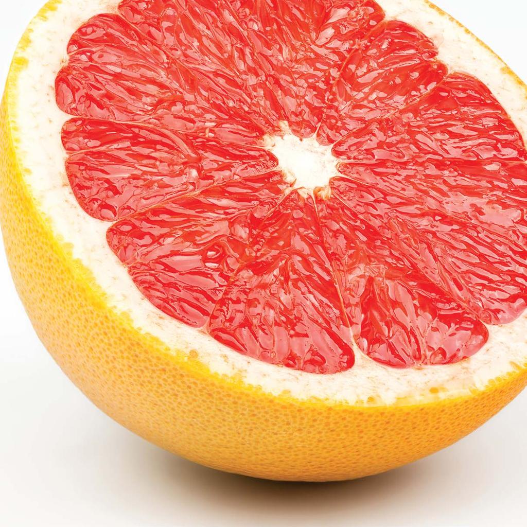 Grapefruitmag-kivonat A grapefruitmag-kivonat bioflavonoidot, glikozidot, C-vitamint és fehérjéket tartalmaz, természetes antibiotikum.