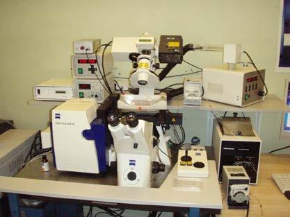 Erbach-Bach, Germany). Az inkubációs rendszer segítségével szabályozható a hőmérséklet és az O 2 koncentráció és lehetőség van mikroszkóppal folyamatosan követni a folyamatokat (11. ábra). 11.