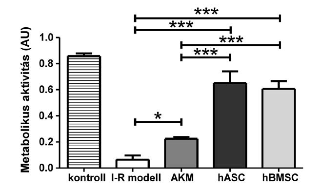 27. ábra: Metabolikus aktivitás mérés. Kontroll: 0,858±0,021 AU, I-R modell: 0,065±0,033 AU, AKM: 0,225±0,013 AU, hasc: : 0,652±0,089 AU, hbmsc: 0,607±0,059 AU, *:p<0.