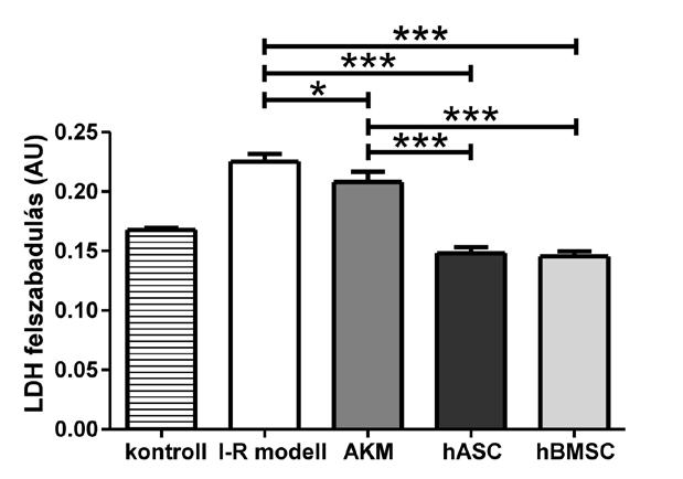 hbmsc-vel kezelt (0,146±0,004 AU) csoportban. A kondicionált médiummal való kezelés (0,208±0,009 AU) egy kisebb, de szintén szignifikáns csökkenést okozott.