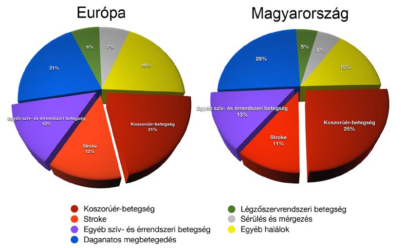 Magyarországon a teljes egészségügyi költség 14%-át ezen betegségek kezelésére fordítják [2]. Mindez aláhúzza új terápiás módszerek kidolgozásának igényét. 1. ábra: Európa és Magyarország mortalitási adatai.