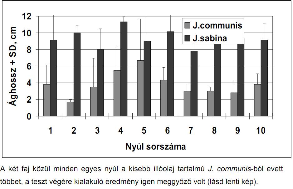 Laboratóriumi preferenciavizsgálatok 1. 2 boróka faj (Juniperus communis Stricta, J. virginiana Tripartita ) ágai közül választottak a naiv nyulak.
