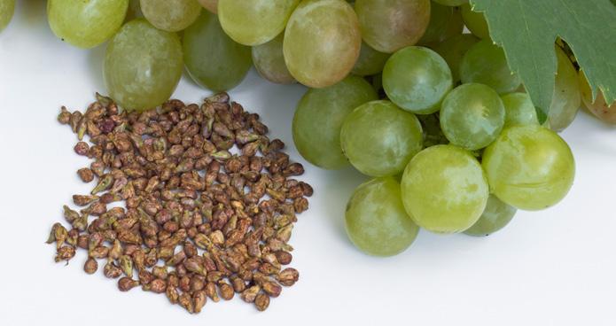 olaj - szőlőmagliszt A szőlőmagból kétféle dolog készülhet: szőlőmagliszt és szőlőmagolaj.