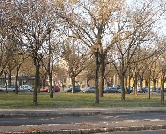 Kijelenthető, hogy azonos időben ilyen sok, és ennyiféle létesítmény nem üzemel maximális terheléssel. A Városliget egyidejűleg jelentkező, saját parkolási igénye a fentiek figyelembevételével 1.