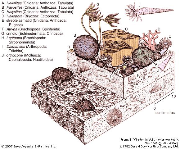 Szilur