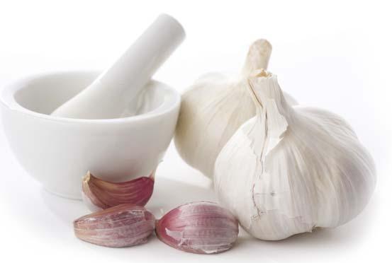 E G É S Z S É G A K O N Y H A K E R T B Ô L gyógynövényalapú készítmények k 54 Garlic Caps 100 gélkapszula Napjaink egyik legismertebb fûszernövénye, mégis kevesen tudják, hogy jellegzetes íze