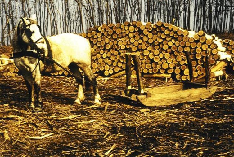 Erdészet A kisteljesítményű erdészeti traktor alapú csörlős vonszolók leginkább előhasználatban hosszúfa mozgatására és (egy rászerelt rakodókeret