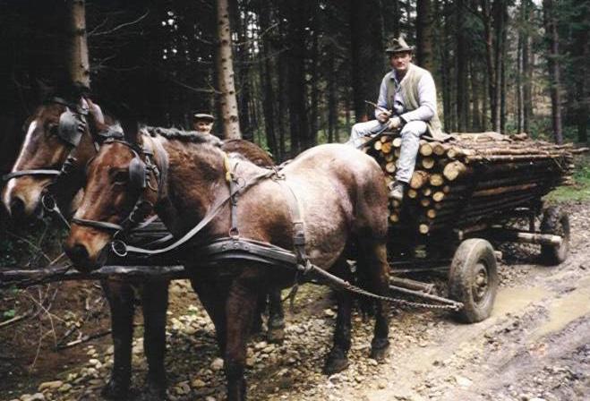 A vaslovak megnevezése is rávilágít arra, hogy ezekre a gépekre nem ülhet fel a sofőr, a földön mellettük járva vagy rajtuk állva vezetheti,