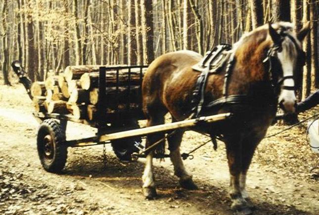 Zalai faszánkó (csuszkó) Gumikerekes (Őrségi) szekér Közelítő kerékpár Gumikerekes közelítő kocsi daruval A lóval végzett közelítés a fahasználat