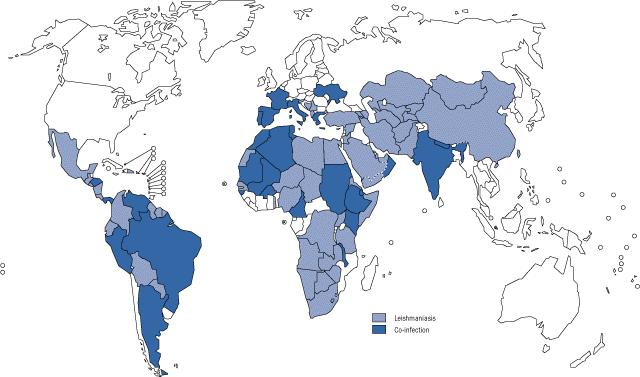 Leishmóniázis és HIV fertőzés Global distribution of reported cases of leishmaniasis and Leishmania/HIV co-infection,