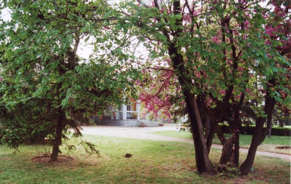A kúriát kisebb park övezi.