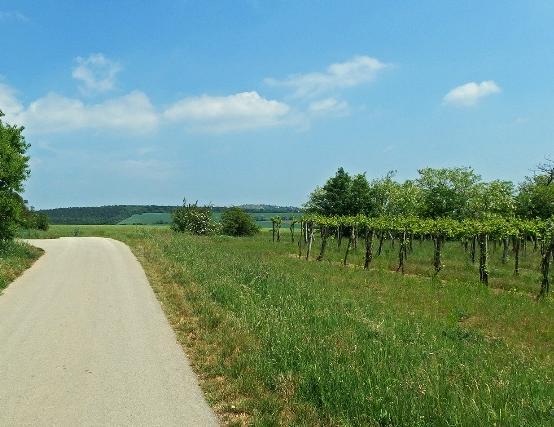 Gurjál-völgy, stb.), az őket kísérő ligeterdőkkel és nedves rétekkel.