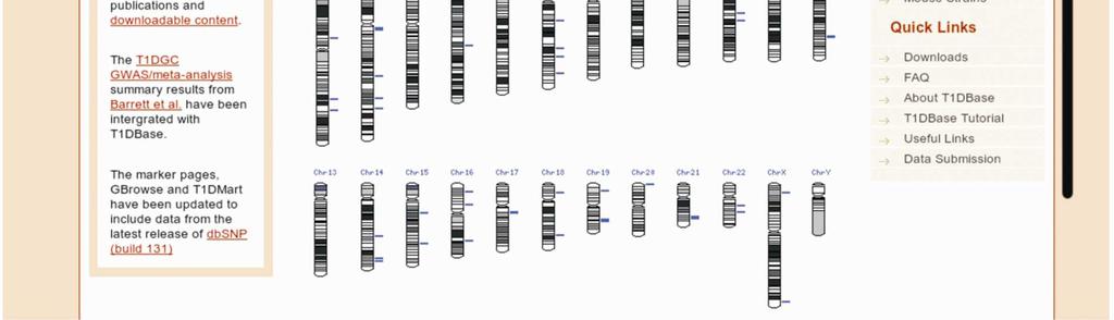 2007-ig visszamenőleg a kapcsoltsági vizsgálatok, a teljes genomszűrés eredményei voltak a meghatározóak.