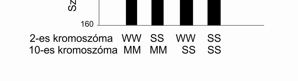 háttérben a 2-es kromoszómán a W, a 10-es kromoszómán az M patkányból származó genomterületre homozigóta.