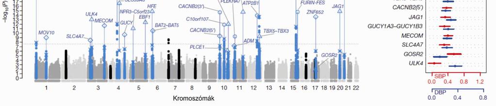 Ezek közül érdekes a GUCY1A3 és GUCY1B3, géneket tartalmazó, melyek az α és β alegységét kódolják az oldható guanilát cikláznak (soluble guanylate cyclase).