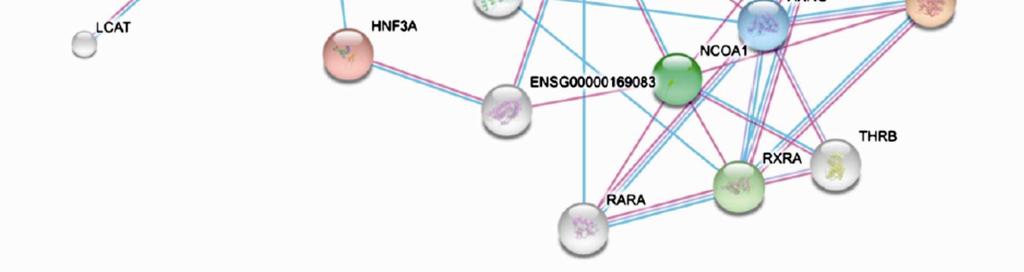 Rövidítések: APO, apolipoprotein; CETP, cholesterylester transfer protein; CREBBP, CREB-binding protein; HNF, hepatocyte nuclear factor; LCAT, lecithin-cholesterol acyltransferase; LDLR, low density