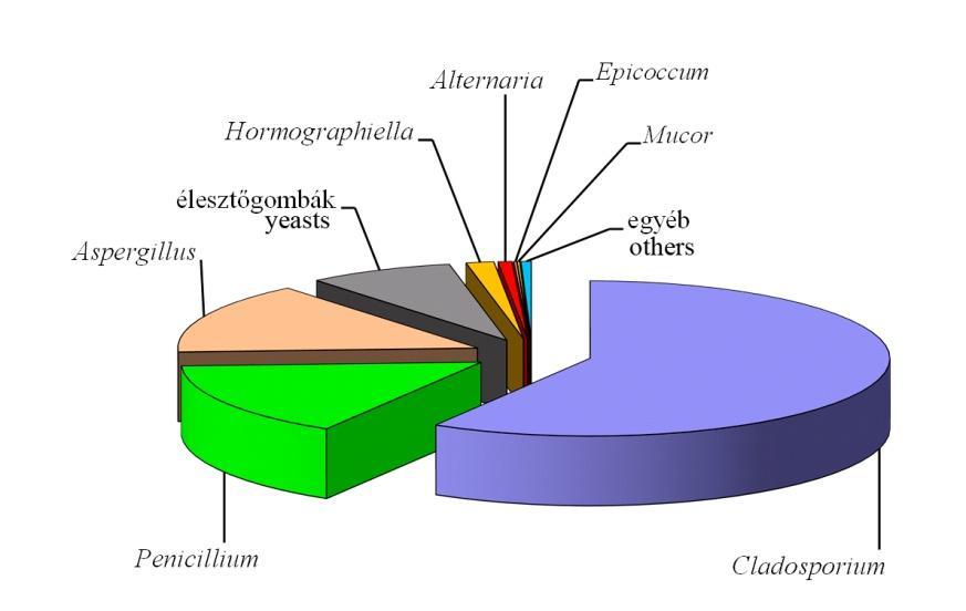 Leggy akoribb gombanemzetségek a beltéri levegőben A beltéri levegőmintákban kimutatott gombanemzetségek közül összkoncentráció alapján a Cladosporium adta a legmagasabb étéket (58%), ezután a