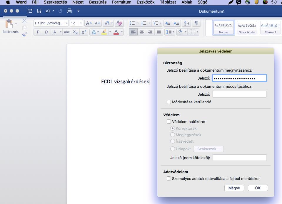 10. ábra Megnyitási jelszó beállítása Mac Microsoft Word 2016 szövegszerkesztőben Mac Microsoft Word 2016