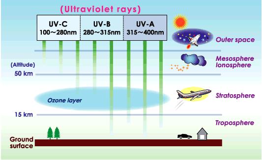 ULTRAIBOLYA