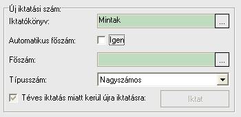 Amennyiben kivesszük a pipát az Automatikus fıszám jelölınégyzetbıl, akkor megjelenik egy Fıszám mezı.