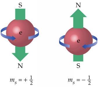 Spinkvantumszám (m s ): - az elektron forgástengelyének az