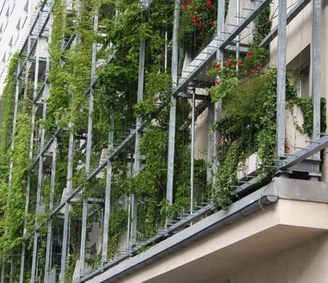 Zöldhomlokzatok megvalósítási lehetőségei 47 48. ábra Kúszónövények eredhetnek az épület homlokzatán elhelyezett planténerben (Simplon Udvar Budapest, lakóépület Bécs) 4.1.