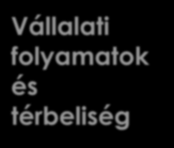 Vállalati folyamatok és térbeliség Kibertér Hibrid tér Földrajzi tér Vállalati folyamatok INPUT soft termékek (software) Anyagok hard termékek (gépek) Emberi erőforrás telework home office Irodai