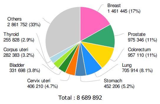 International Agency for Research on Cancer (IARC) a Nemzeti Rákkutatási Ügynökség, amely az Egészségügyi Világszervezet (WHO) rákmegelőzésre szakosodott intézménye.