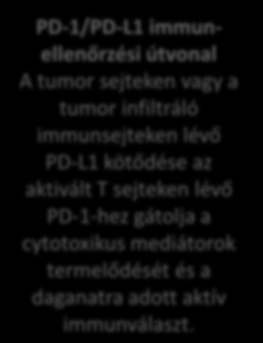 a cytotoxikus mediátorok termelődését és a daganatra adott