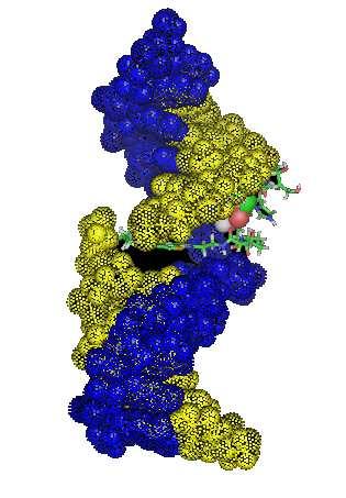 BLEOMICINEK 2. Bioszintézis: 25 BLEOMICINEK 3.