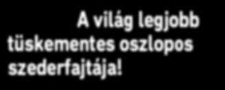 Végre hobbikertészek számára is elérhető. Már a fiatal növények is sokat teremnek, az idősebbekről pedig akár évi 40 kg áfonya is szüretelhető.