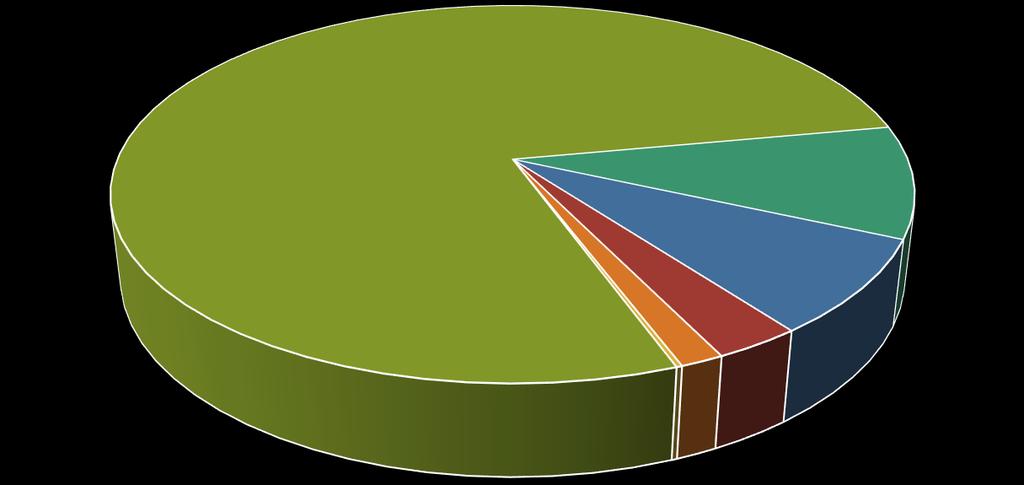 tűzifa-és egyéb biomassza 77,80% 8,10% 9,60% geotermális energia növényi és
