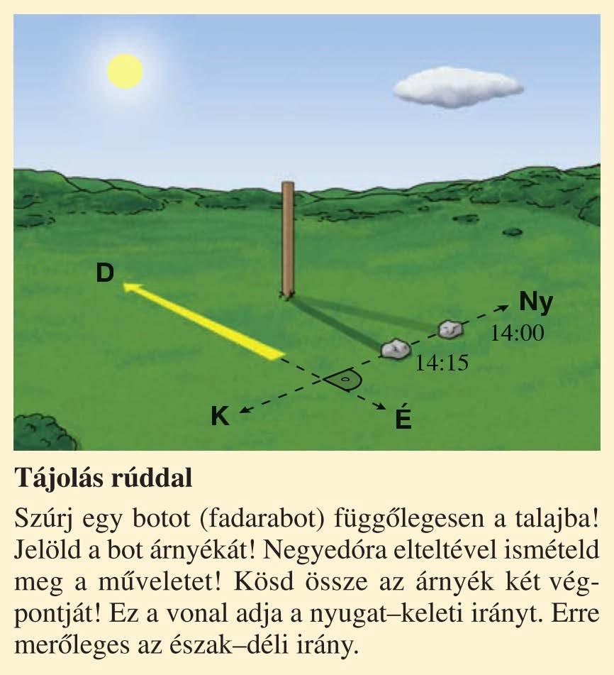 Tájékozódás