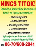 12 INGATLAN Garzonlakás a 2. emeleten, konvektoros fűtéssel eladó. Tel: 06 30 / 482-9498 Adásztevelen eladó családi ház 125 m2 irodának, rendelőnek és étkezdének is megfelel.