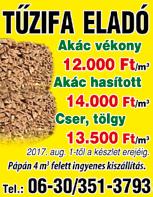 Érdeklődni: 06 30 / 866-1433 Fáraó Best bútoráruház értékesítői és raktárosi munkakörbe férfi kollégát keres.