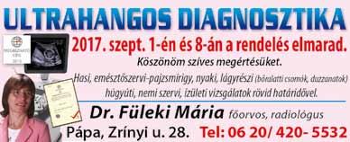 Tel: 06 30 / 385-1054 Fóka barna sziámi kandúr pározna oltott sziámi cicalánnyal, díjtalanul.