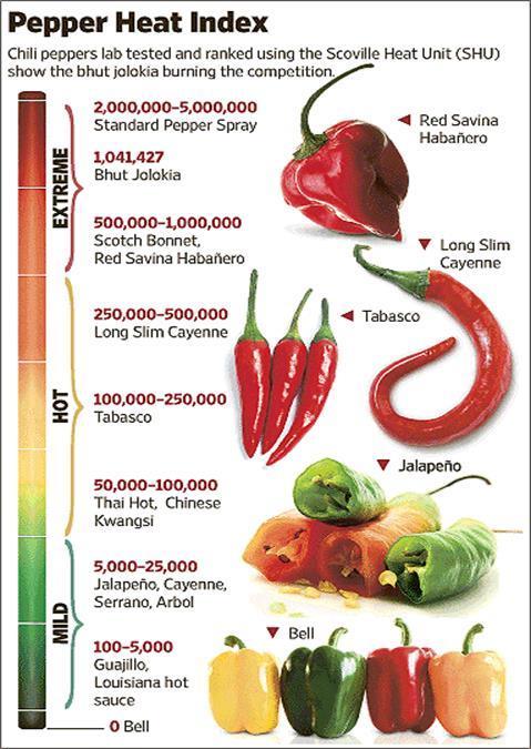 47. kép: Paprika csípősségi index a lágytól a rendőrség által