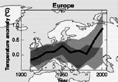 1. ábra: A globális felszíni hőmérséklet alakulása az 1961 és 1990 közötti évek átlagától való eltéréssel ábrázolva (WMO, 2005 nyomán) 2.