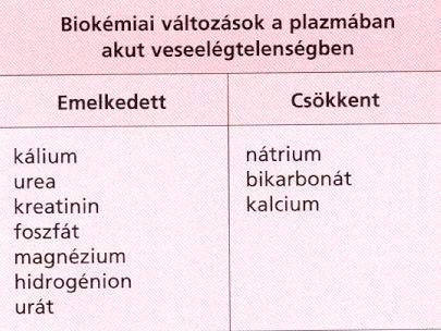 Intrinsic akut veselégtelenség Sokféle kiváltó ok, legtöbbször: