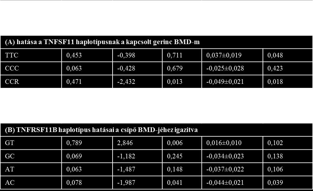 különbségek a következők voltak: -0,010±0,163 a C/C+C/T és 0,040±0,154 g/cm 2 a T/T genotípusokban. A vizsgált SNP-k közül egyik sem mutatott összefüggést a nem vertebrális törésekkel.